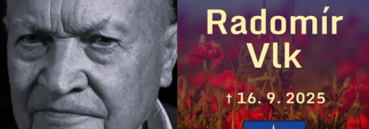 Radomír Vlk