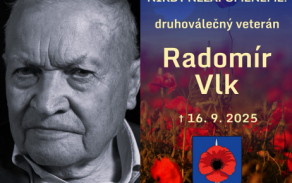 Radomír Vlk